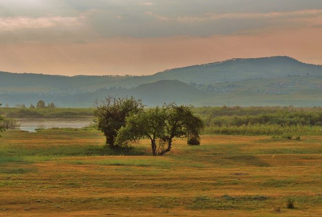 Юбилейный вечер «Дунаевские. Двойной портрет»